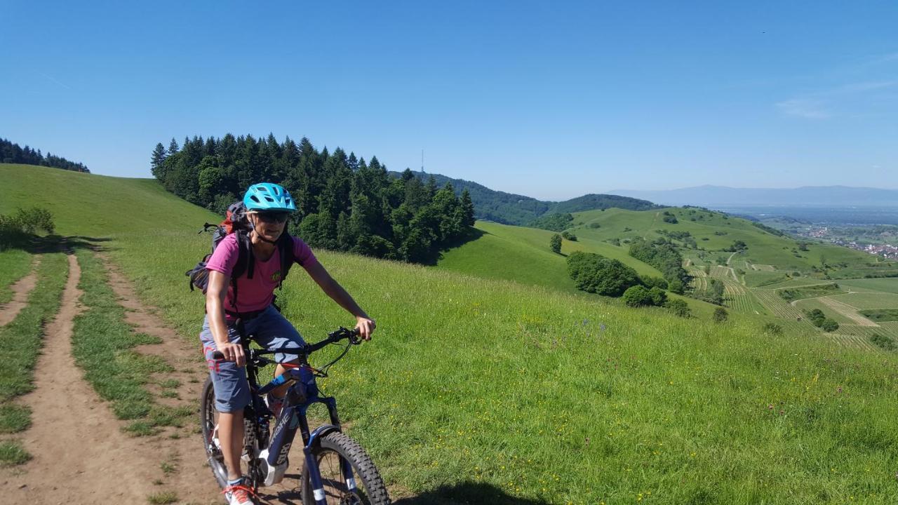 Gaestehaus Casa Luna - Paradiesische Ferienwohnungen Am Kaiserstuhl! Bischoffingen Dış mekan fotoğraf