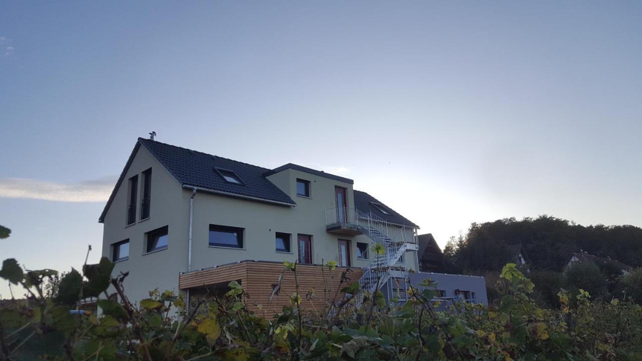 Gaestehaus Casa Luna - Paradiesische Ferienwohnungen Am Kaiserstuhl! Bischoffingen Dış mekan fotoğraf