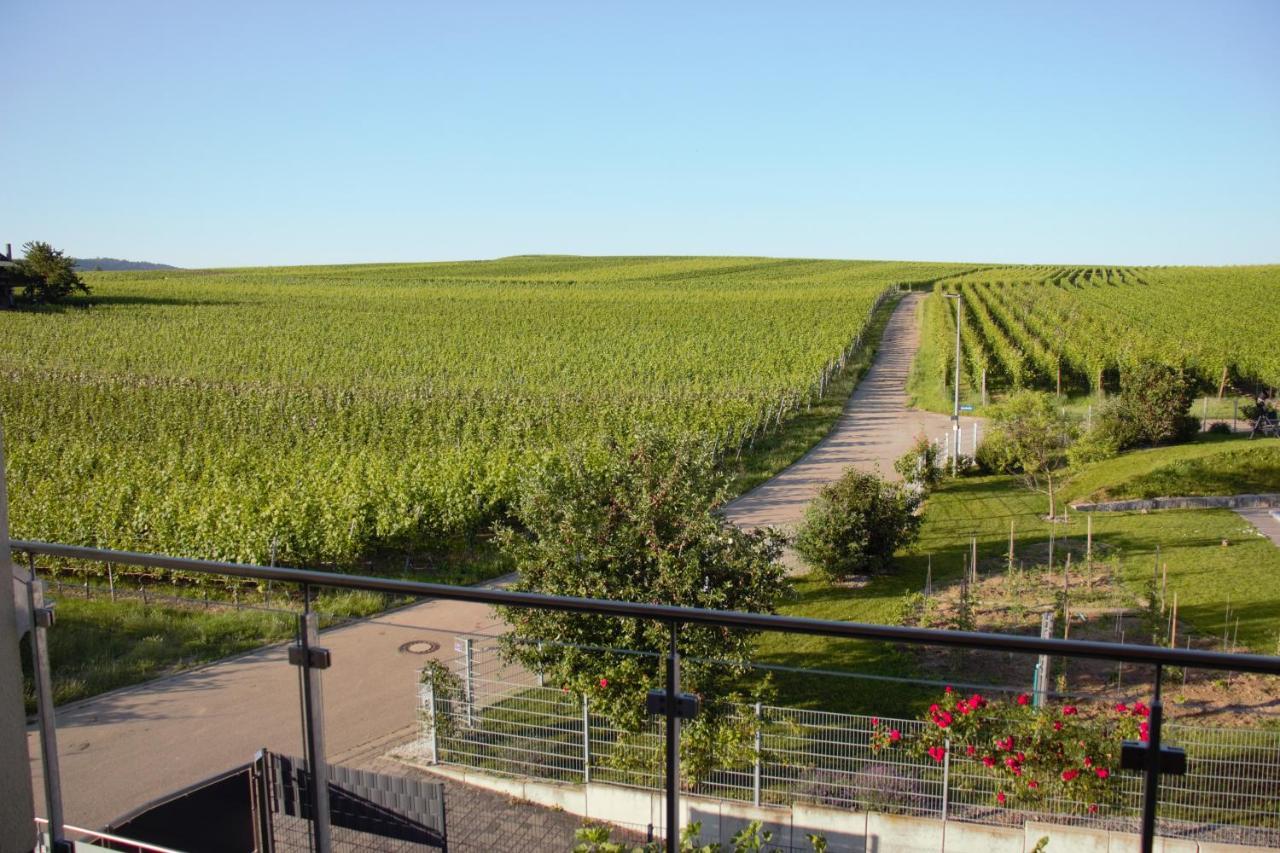 Gaestehaus Casa Luna - Paradiesische Ferienwohnungen Am Kaiserstuhl! Bischoffingen Dış mekan fotoğraf