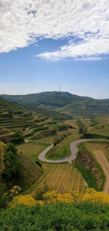 Gaestehaus Casa Luna - Paradiesische Ferienwohnungen Am Kaiserstuhl! Bischoffingen Dış mekan fotoğraf