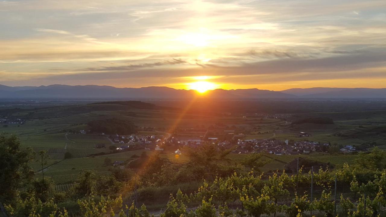 Gaestehaus Casa Luna - Paradiesische Ferienwohnungen Am Kaiserstuhl! Bischoffingen Dış mekan fotoğraf