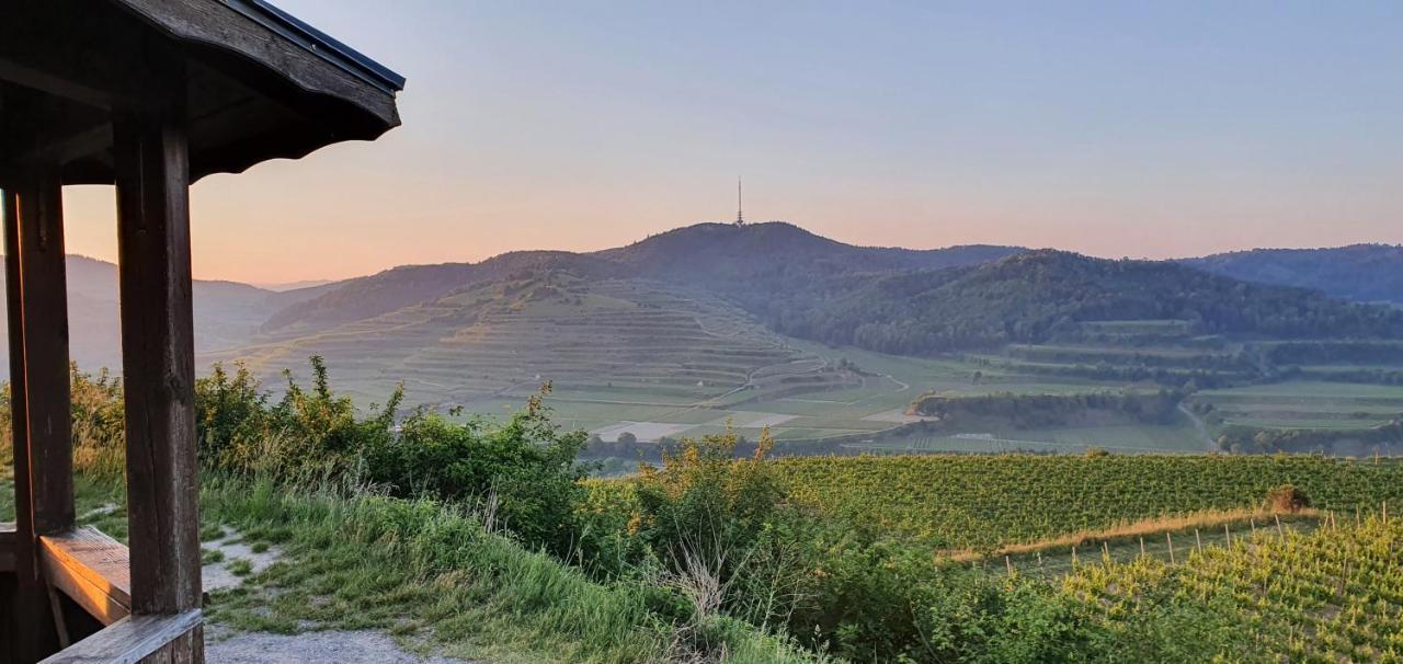 Gaestehaus Casa Luna - Paradiesische Ferienwohnungen Am Kaiserstuhl! Bischoffingen Dış mekan fotoğraf