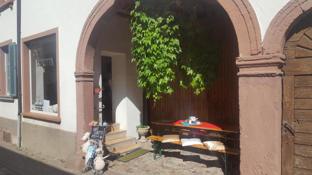 Gaestehaus Casa Luna - Paradiesische Ferienwohnungen Am Kaiserstuhl! Bischoffingen Dış mekan fotoğraf